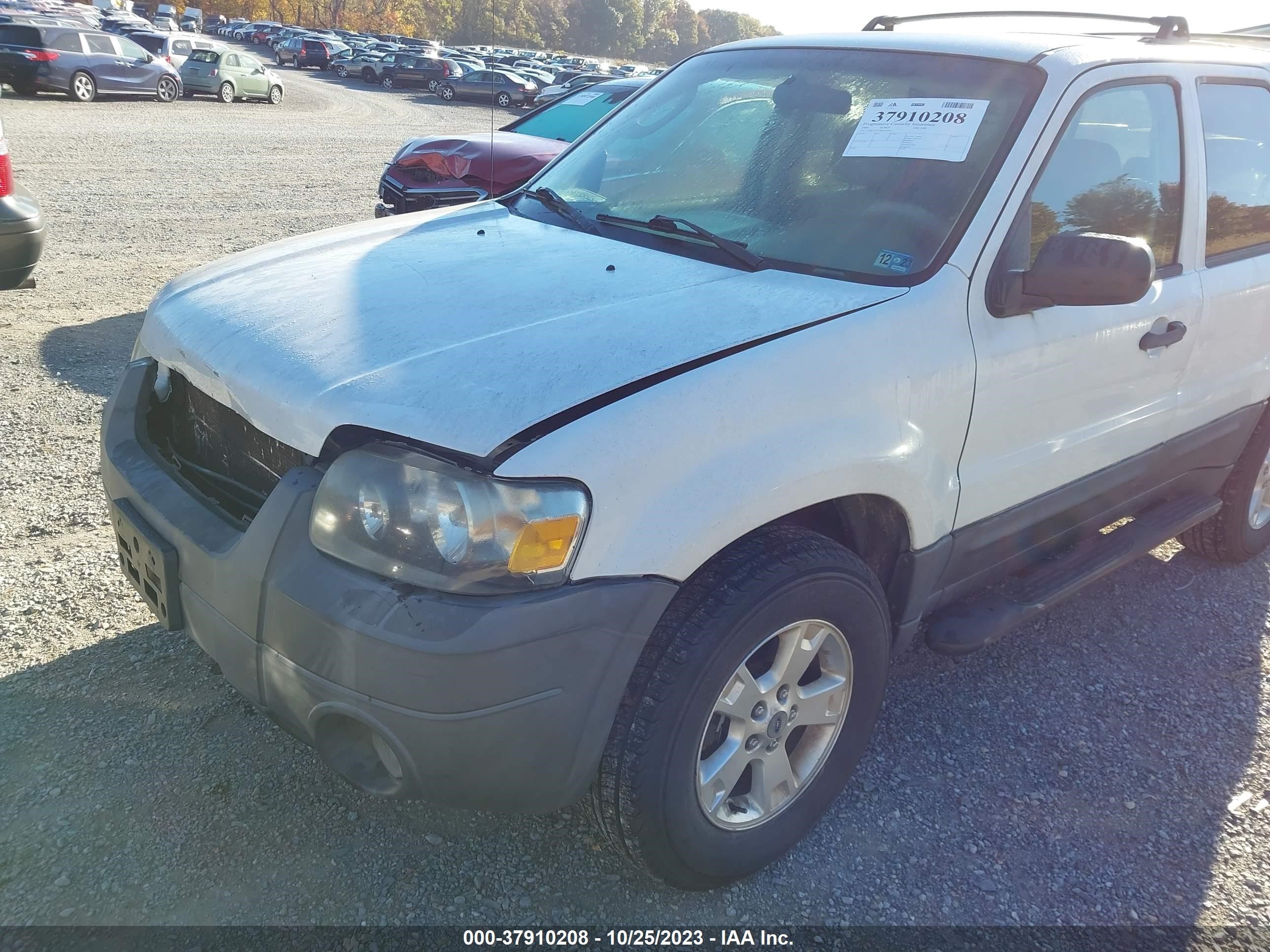 Photo 5 VIN: 1FMCU93156KC81800 - FORD ESCAPE 