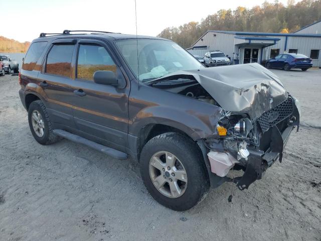 Photo 3 VIN: 1FMCU93166KD11631 - FORD ESCAPE 