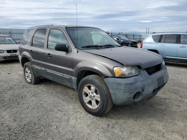 Photo 3 VIN: 1FMCU93175KB33906 - FORD ESCAPE 