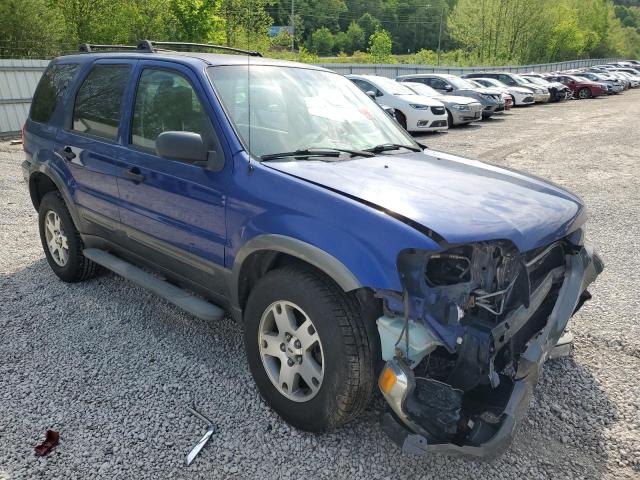 Photo 3 VIN: 1FMCU93175KD40134 - FORD ESCAPE 