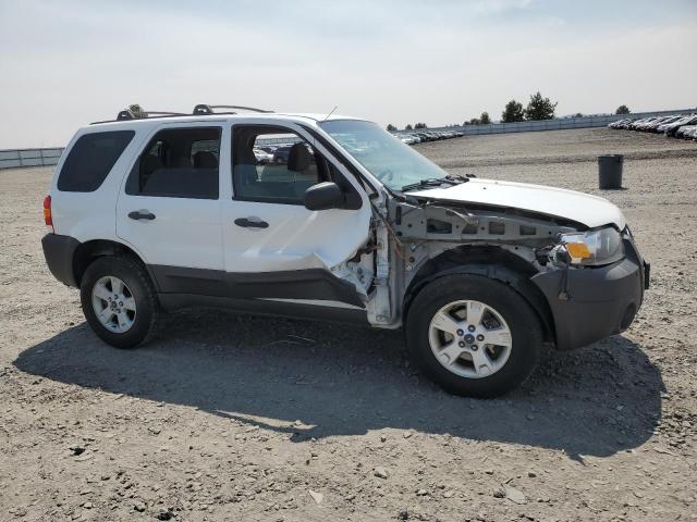 Photo 3 VIN: 1FMCU93176KC62455 - FORD ESCAPE 