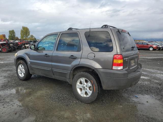 Photo 1 VIN: 1FMCU93176KD02047 - FORD ESCAPE 