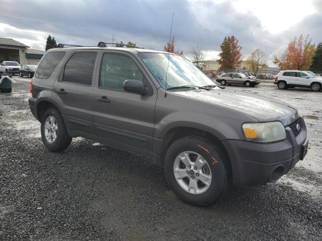 Photo 3 VIN: 1FMCU93176KD02047 - FORD ESCAPE 