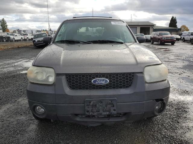 Photo 4 VIN: 1FMCU93176KD02047 - FORD ESCAPE 