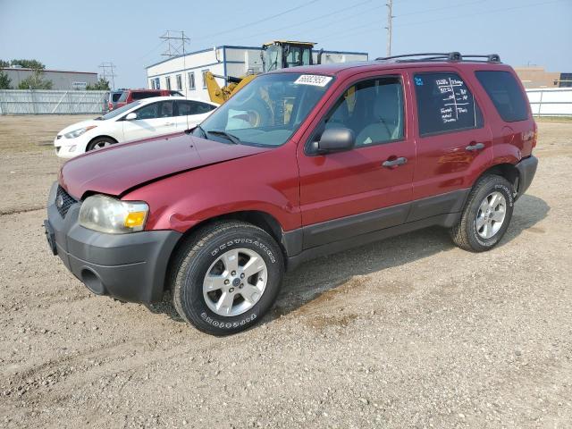 Photo 0 VIN: 1FMCU93176KD35775 - FORD ESCAPE 