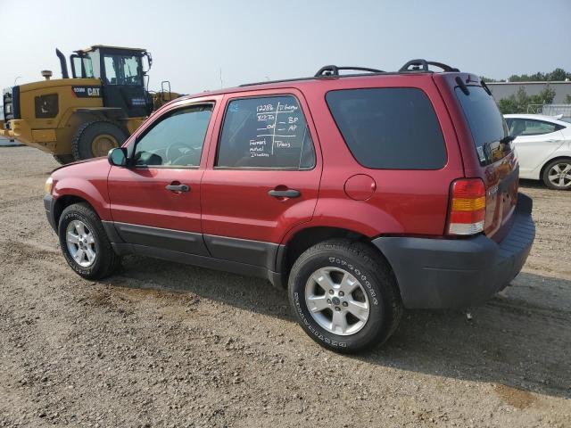 Photo 1 VIN: 1FMCU93176KD35775 - FORD ESCAPE 