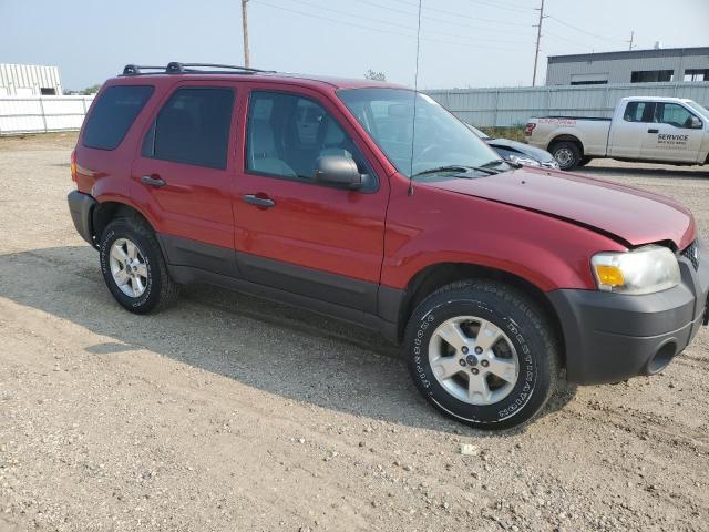 Photo 3 VIN: 1FMCU93176KD35775 - FORD ESCAPE 