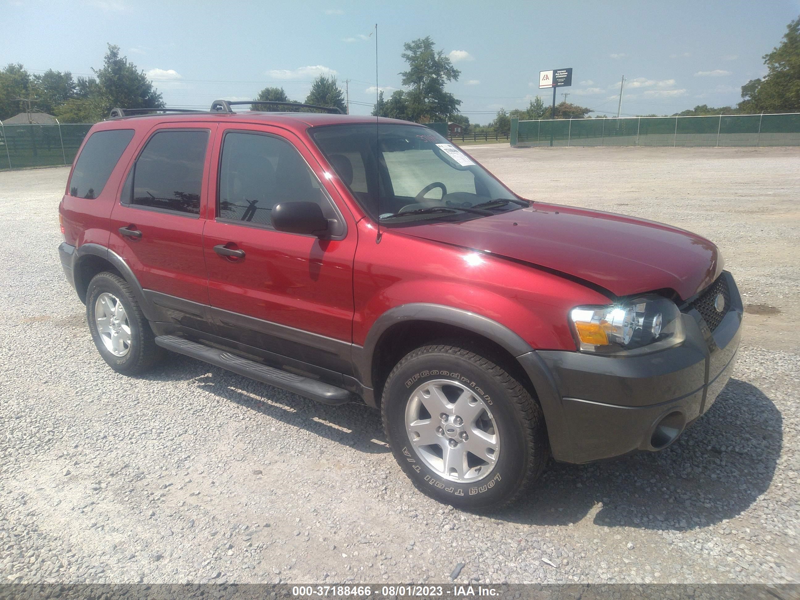 Photo 0 VIN: 1FMCU931X6KB99495 - FORD ESCAPE 