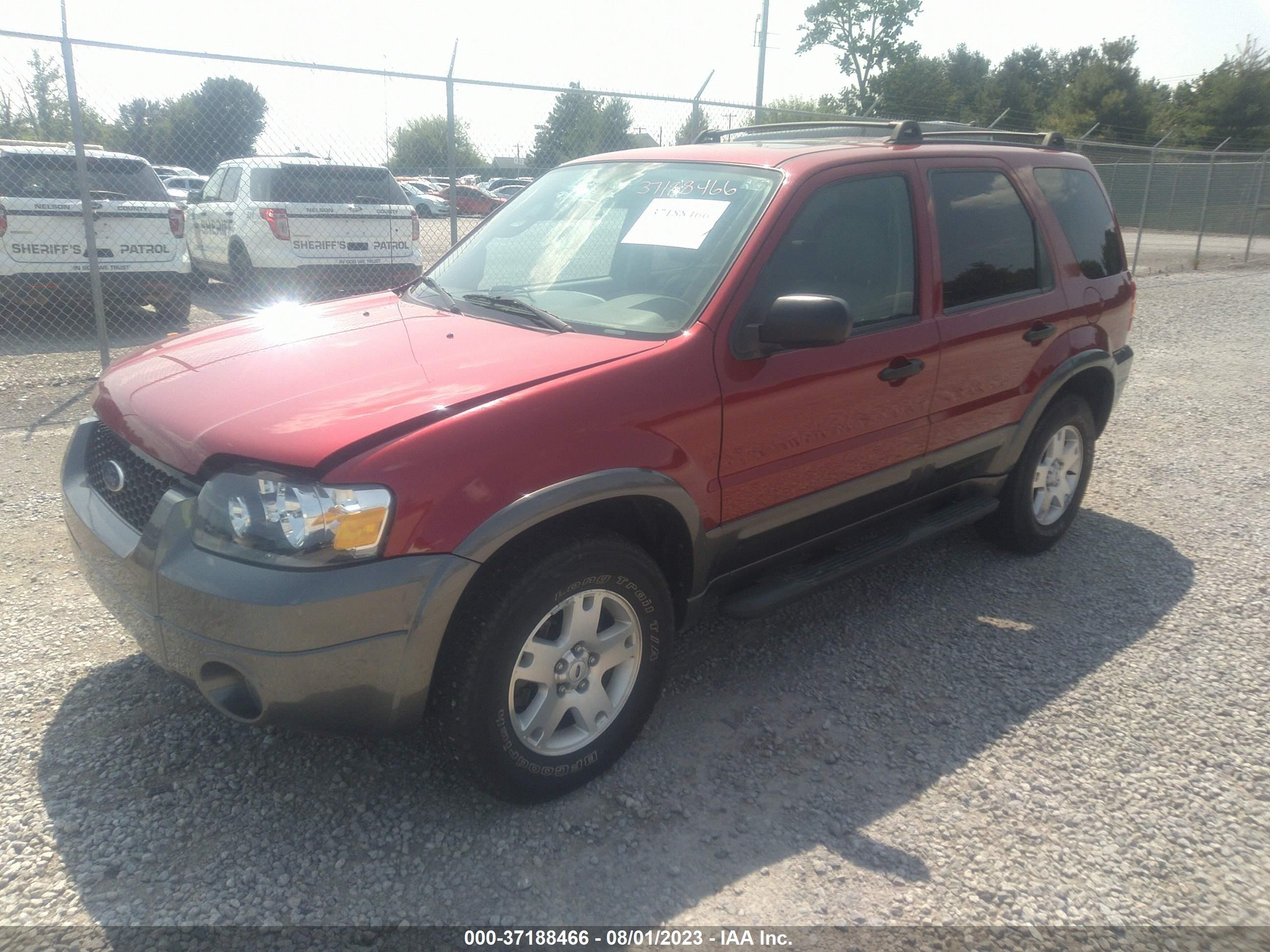 Photo 1 VIN: 1FMCU931X6KB99495 - FORD ESCAPE 