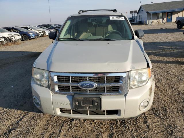 Photo 4 VIN: 1FMCU931X8KA44013 - FORD ESCAPE XLT 