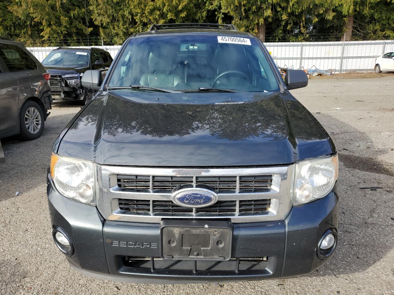 Photo 4 VIN: 1FMCU93759KB30531 - FORD ESCAPE 