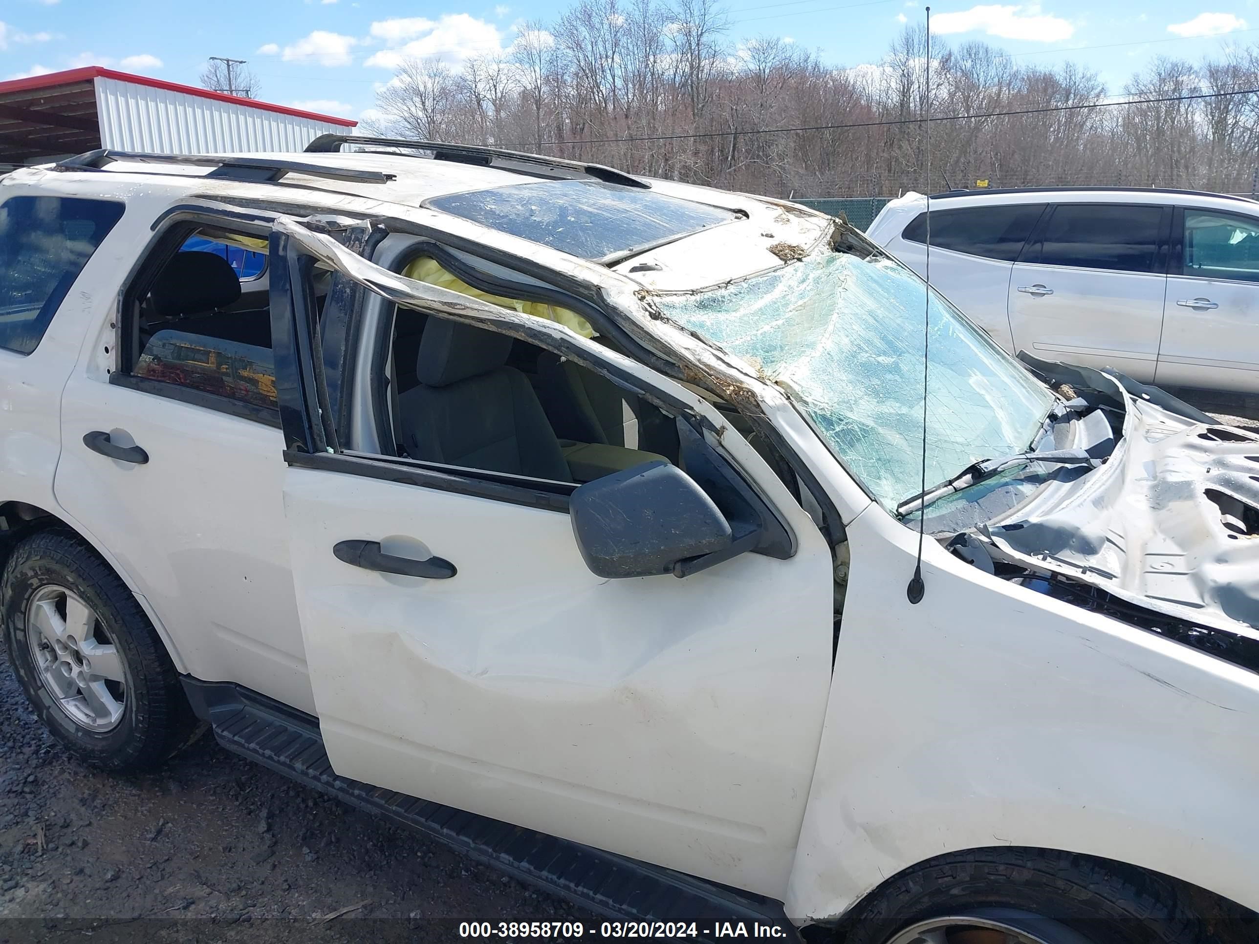 Photo 5 VIN: 1FMCU93G19KA60686 - FORD ESCAPE 