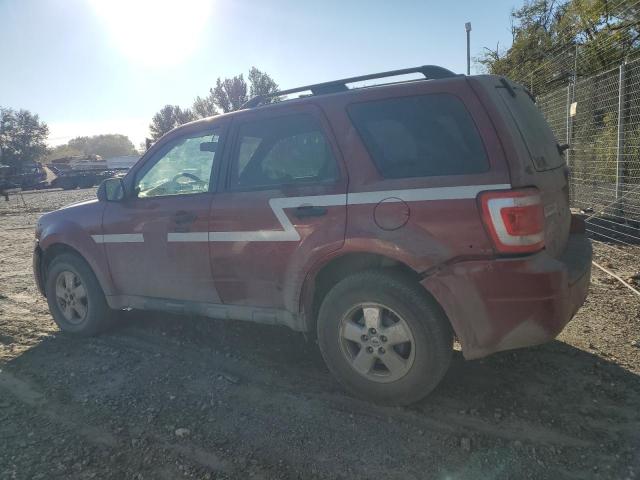 Photo 1 VIN: 1FMCU93G19KC38595 - FORD ESCAPE XLT 