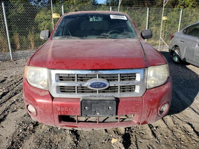 Photo 4 VIN: 1FMCU93G19KC38595 - FORD ESCAPE XLT 