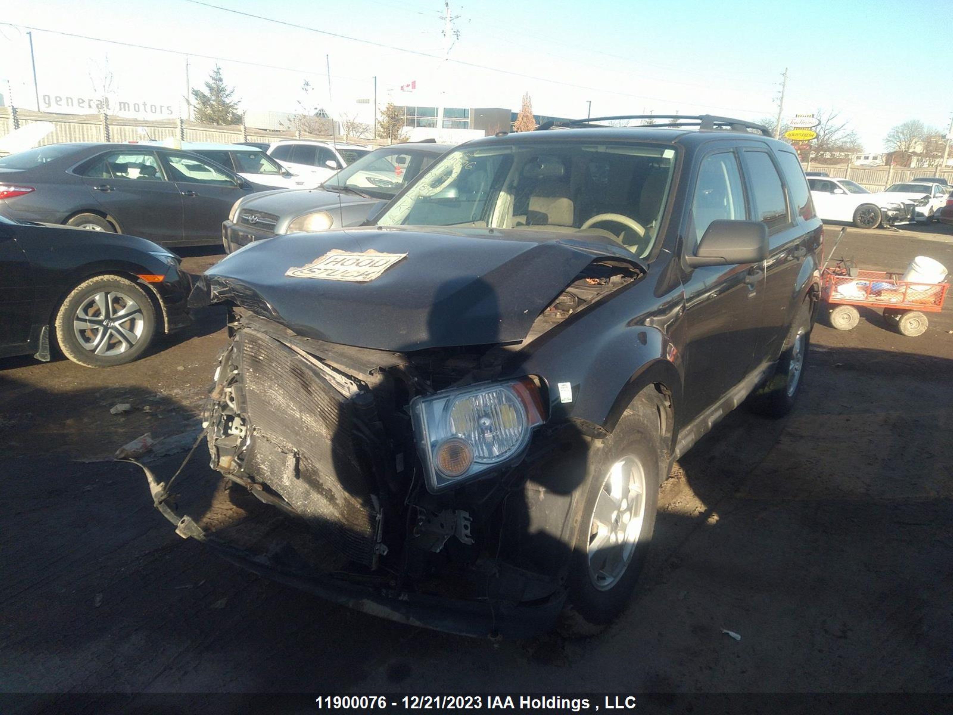 Photo 1 VIN: 1FMCU93G49KB46218 - FORD ESCAPE 