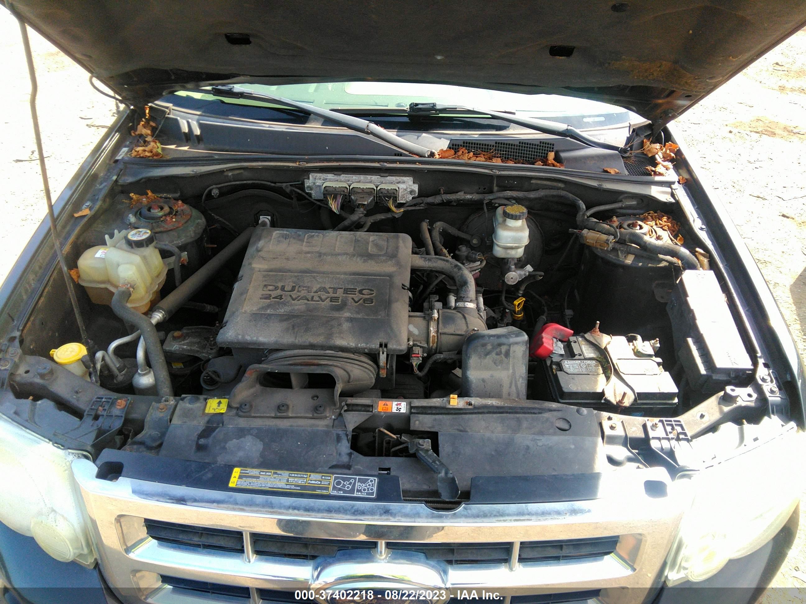 Photo 9 VIN: 1FMCU93G59KB54599 - FORD ESCAPE 