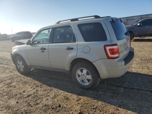 Photo 1 VIN: 1FMCU93G59KC49213 - FORD ESCAPE XLT 