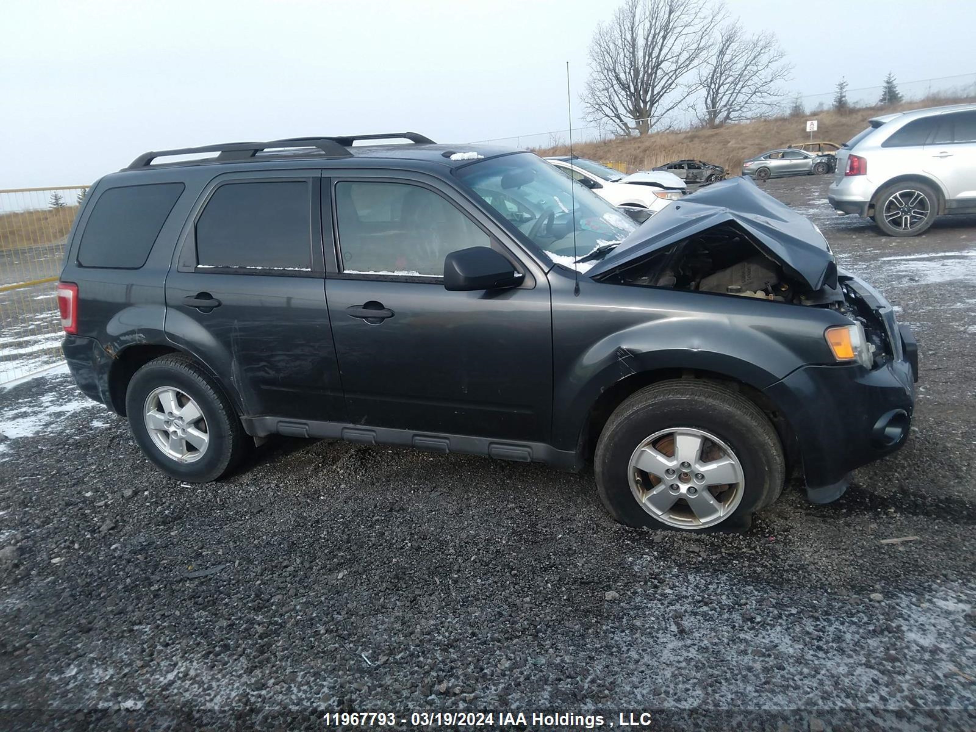 Photo 11 VIN: 1FMCU93G69KA04775 - FORD ESCAPE 