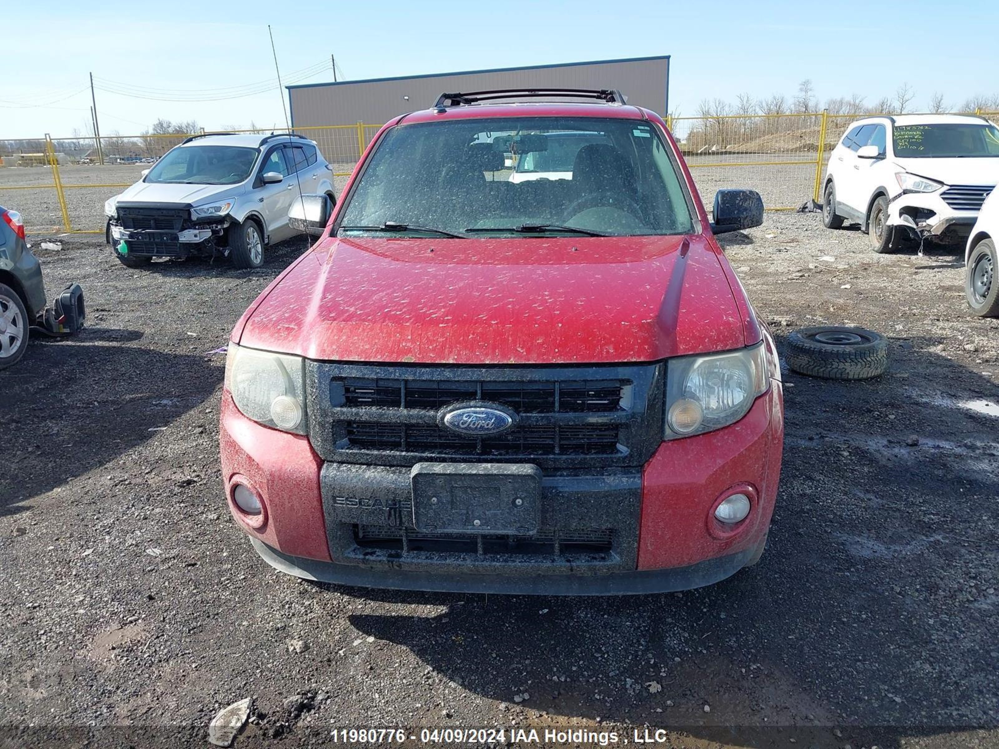 Photo 11 VIN: 1FMCU93G69KD13162 - FORD ESCAPE 