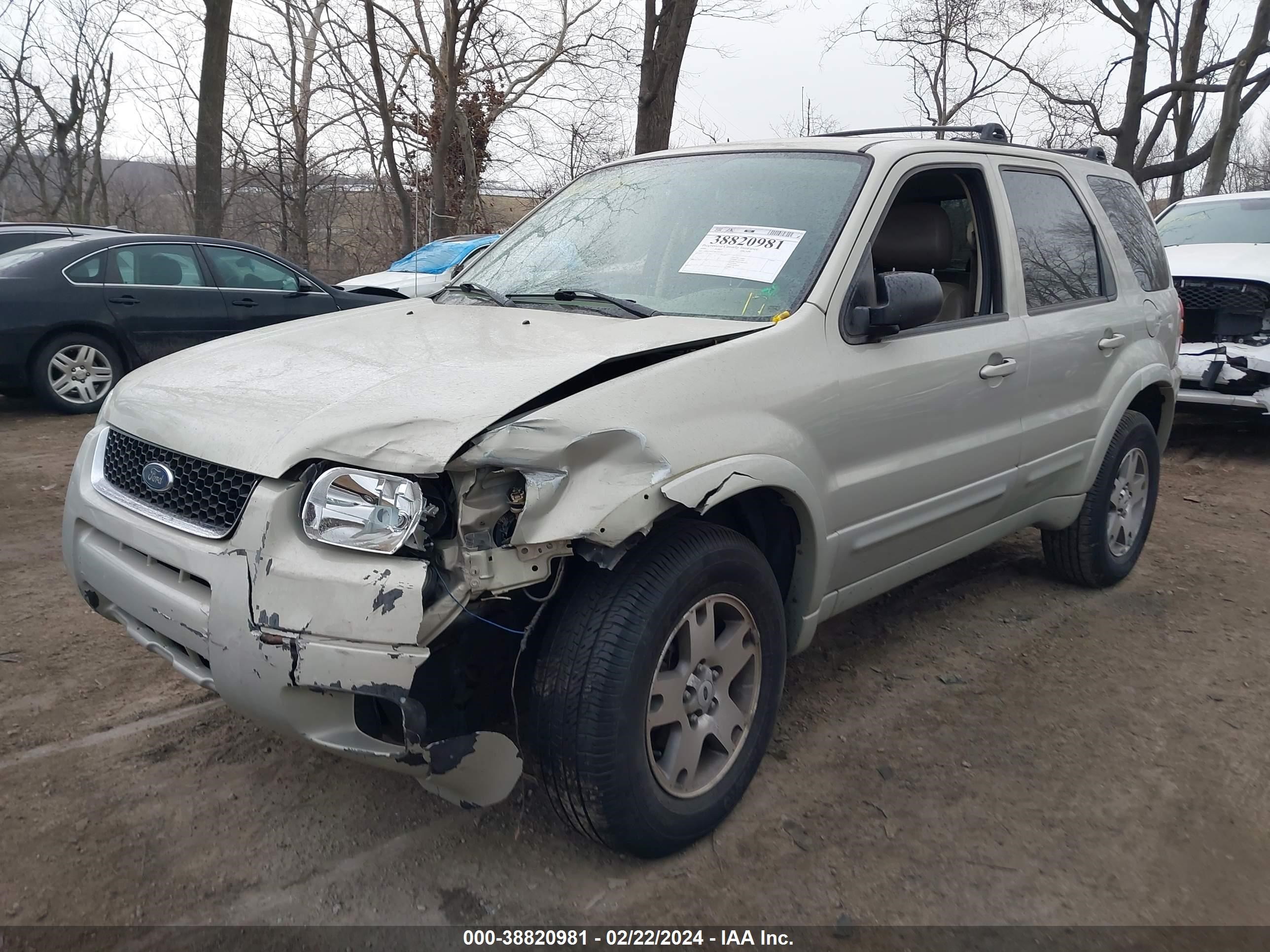 Photo 1 VIN: 1FMCU94114KA49352 - FORD ESCAPE 