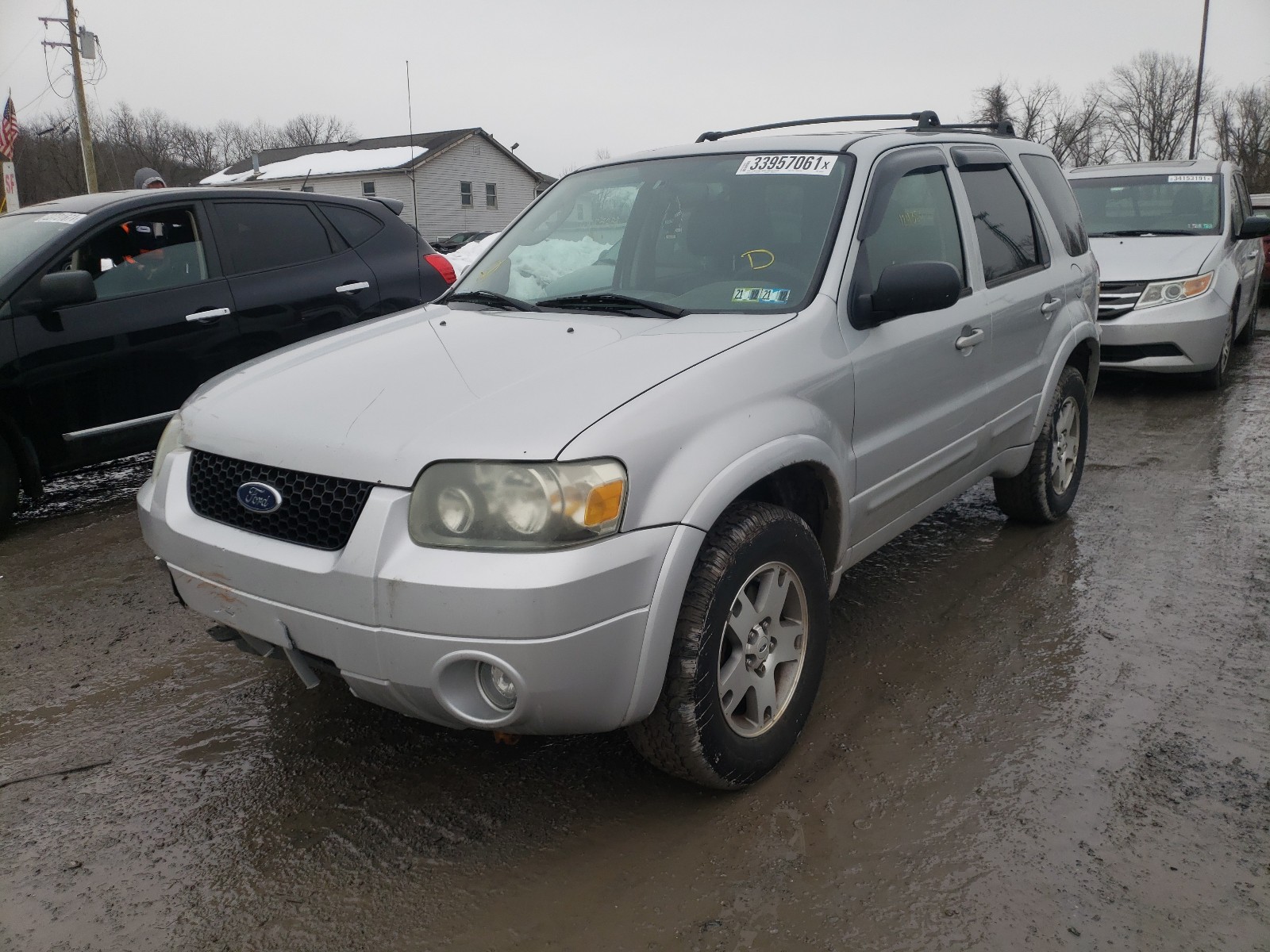 Photo 1 VIN: 1FMCU94165KB25097 - FORD ESCAPE LIM 