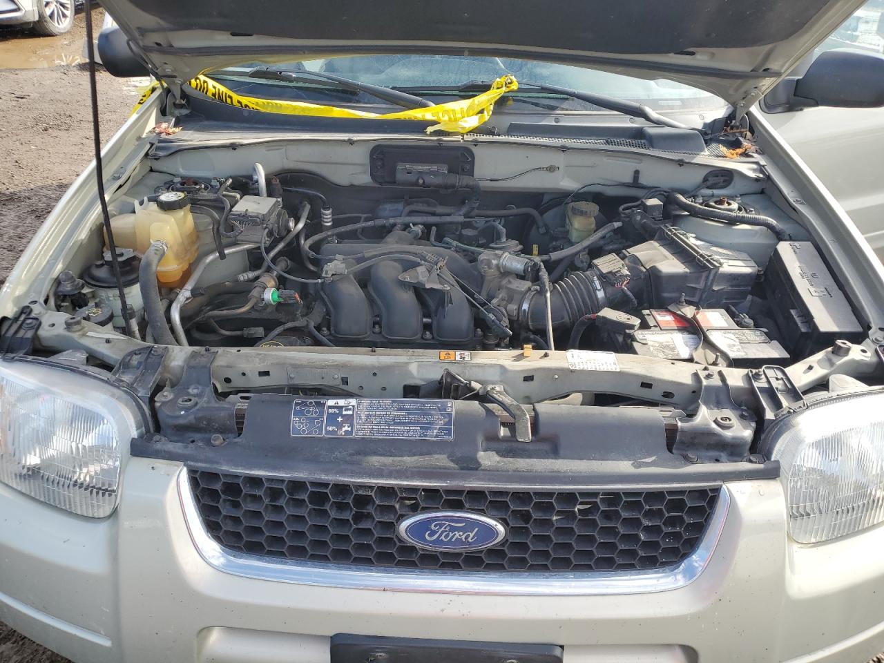 Photo 10 VIN: 1FMCU94174KB65302 - FORD ESCAPE 