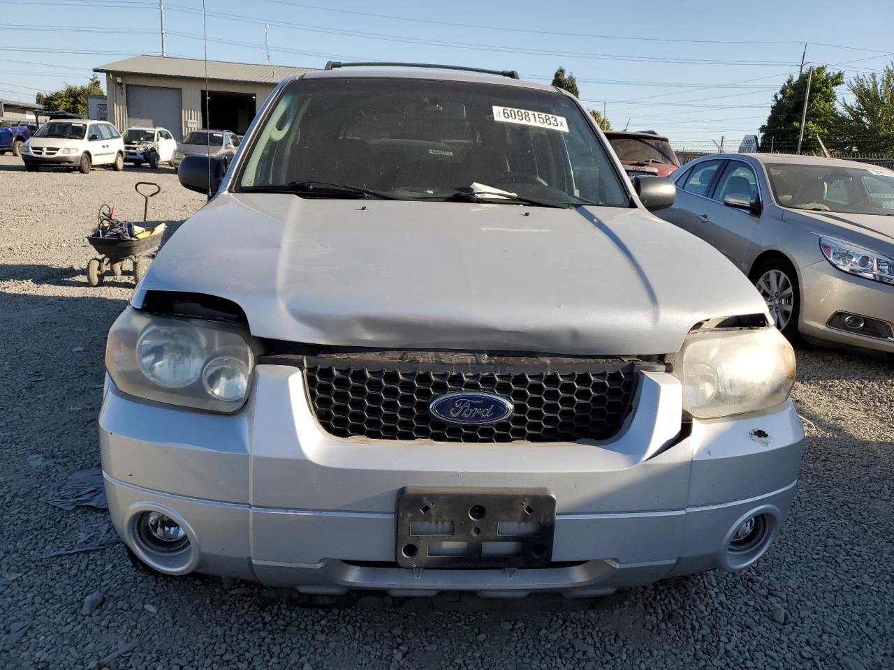 Photo 4 VIN: 1FMCU94196KB47905 - FORD ESCAPE 