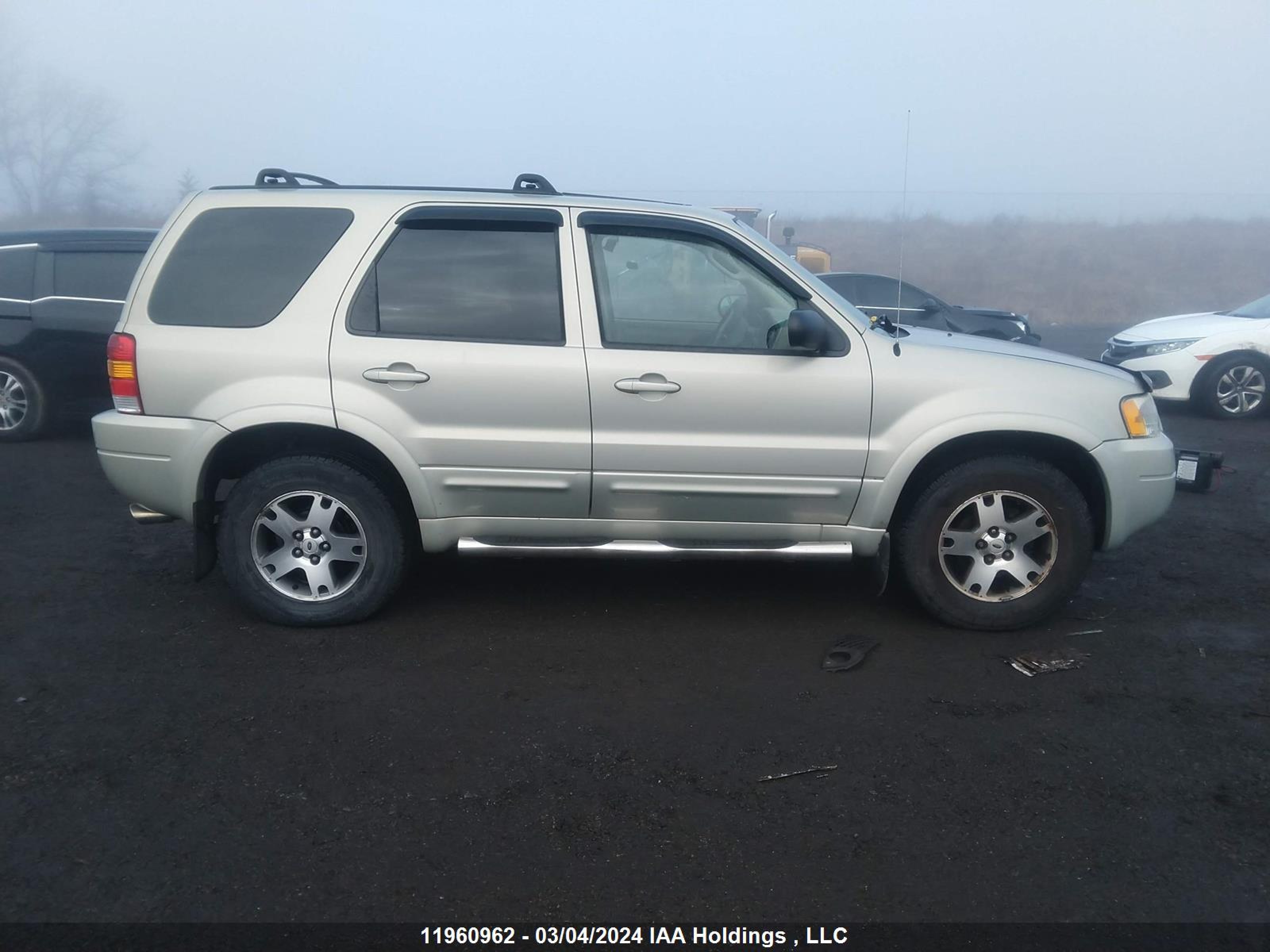 Photo 12 VIN: 1FMCU941X4KB04462 - FORD ESCAPE 