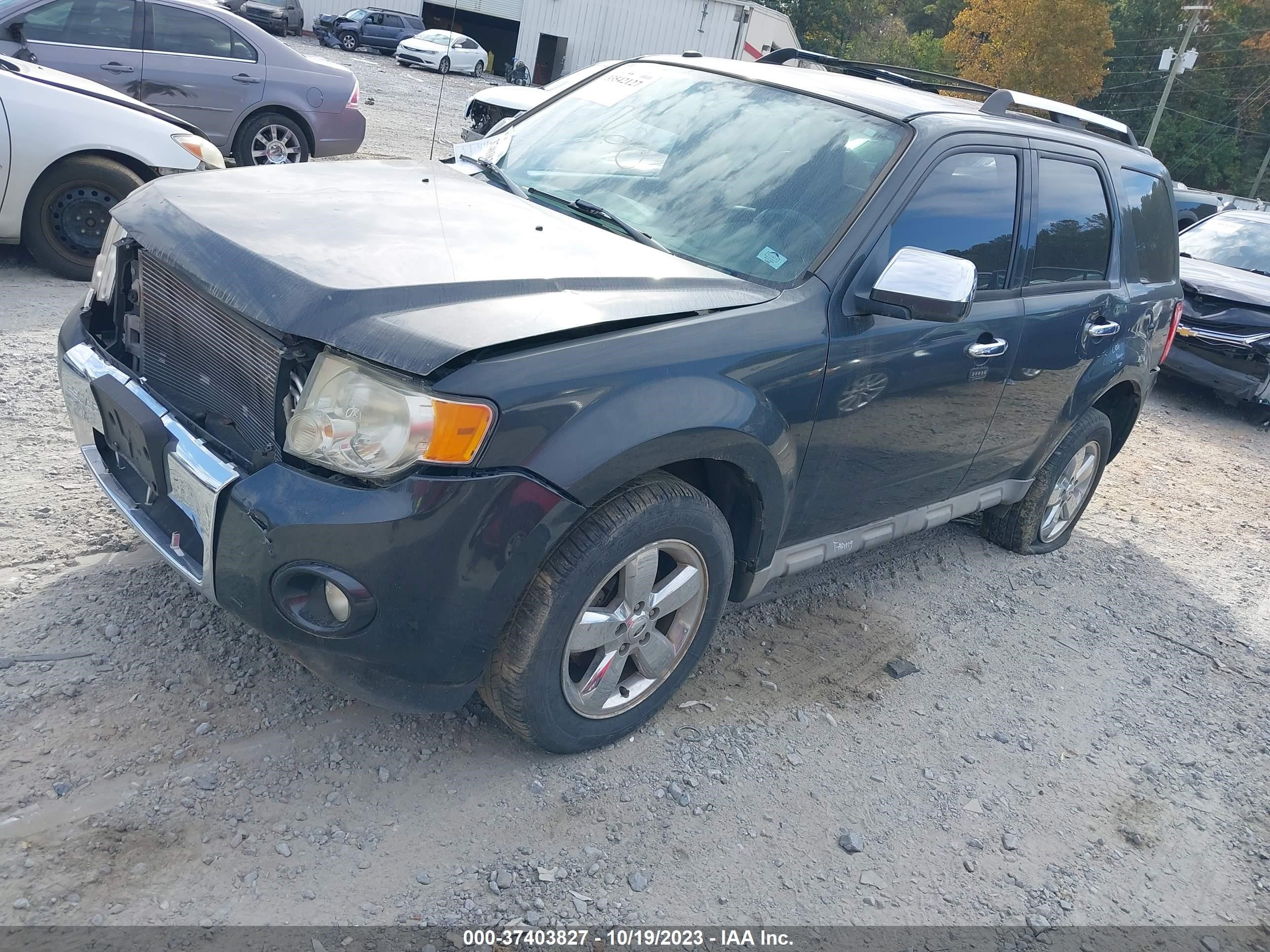 Photo 1 VIN: 1FMCU94G69KC26246 - FORD ESCAPE 