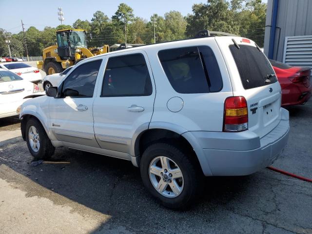 Photo 1 VIN: 1FMCU95H16KD40206 - FORD ESCAPE 