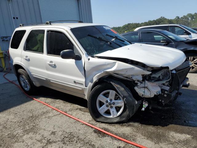 Photo 3 VIN: 1FMCU95H16KD40206 - FORD ESCAPE 