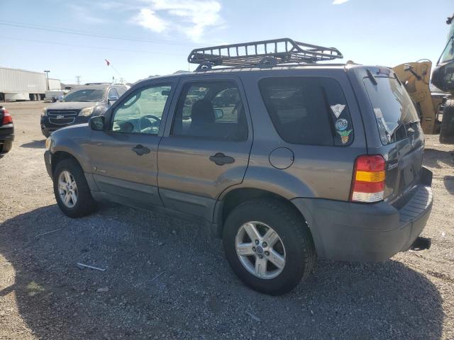 Photo 1 VIN: 1FMCU95H66KC97384 - FORD ESCAPE 