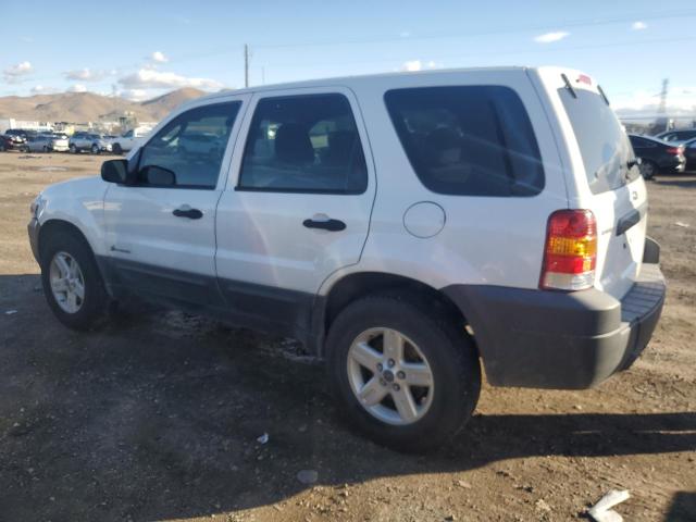 Photo 1 VIN: 1FMCU95H76KC36058 - FORD ESCAPE 