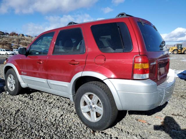 Photo 1 VIN: 1FMCU95H86KC28003 - FORD ESCAPE 