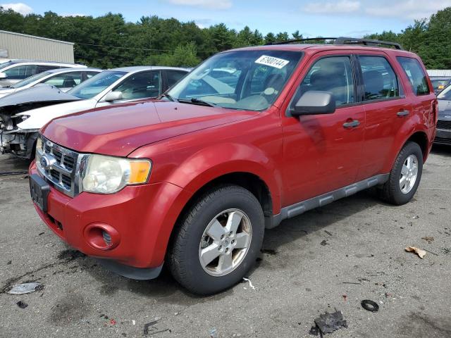 Photo 0 VIN: 1FMCU9C75BKB00807 - FORD ESCAPE XLS 