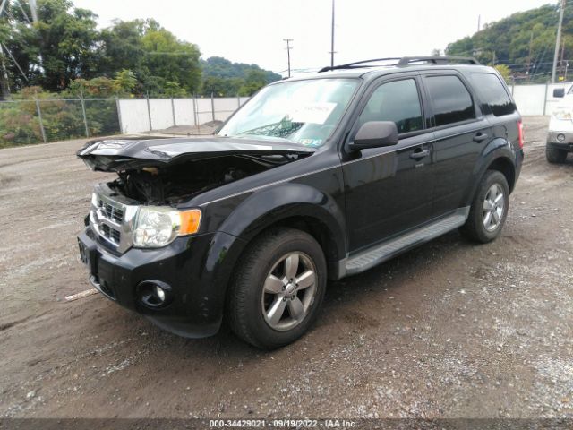 Photo 1 VIN: 1FMCU9D71AKA43146 - FORD ESCAPE 