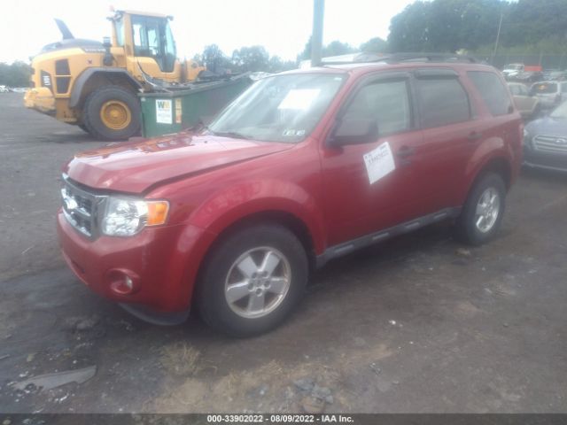 Photo 1 VIN: 1FMCU9D72BKA19178 - FORD ESCAPE 