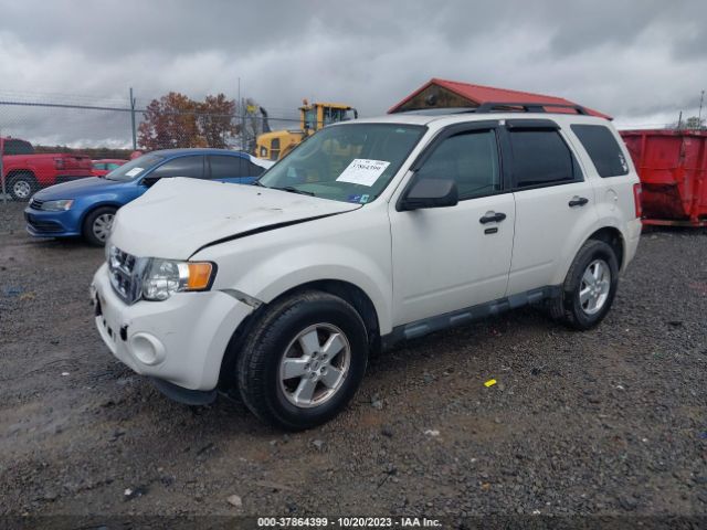 Photo 1 VIN: 1FMCU9D74BKA54501 - FORD ESCAPE 