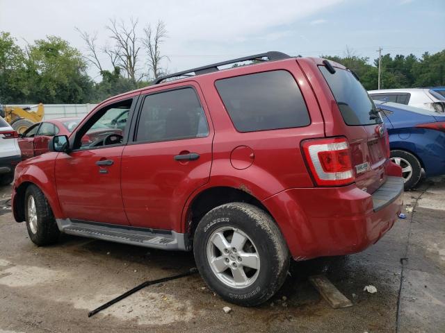 Photo 1 VIN: 1FMCU9D76BKA53690 - FORD ESCAPE XLT 