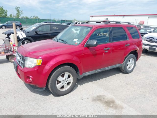 Photo 1 VIN: 1FMCU9D76BKA66973 - FORD ESCAPE 