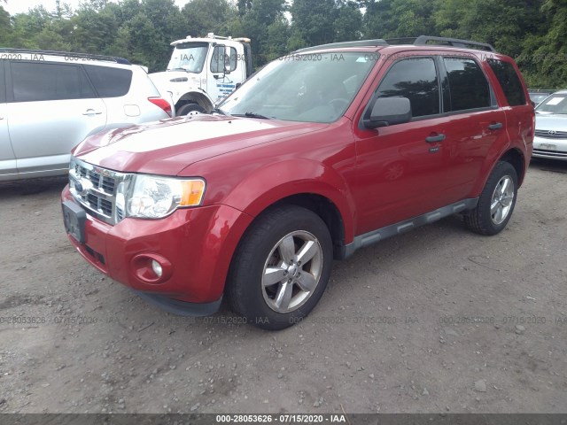 Photo 1 VIN: 1FMCU9D77BKB43317 - FORD ESCAPE 