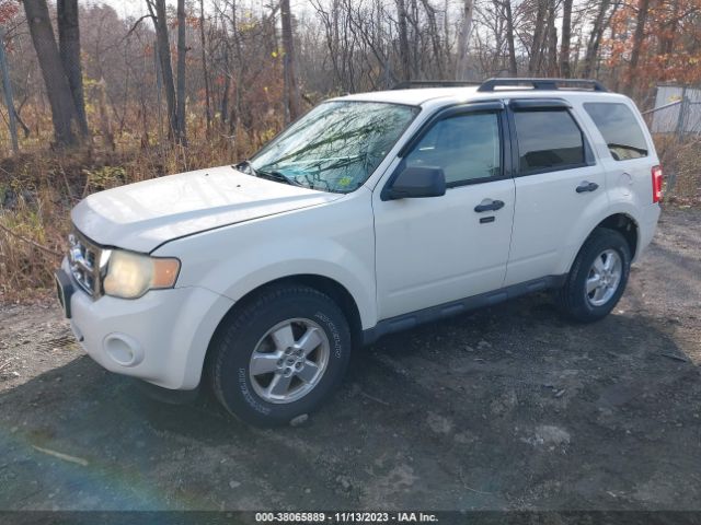 Photo 1 VIN: 1FMCU9D7XAKC03668 - FORD ESCAPE 