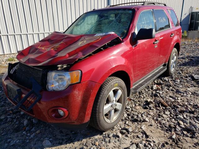 Photo 1 VIN: 1FMCU9DG0BK504495 - FORD ESCAPE XLT 