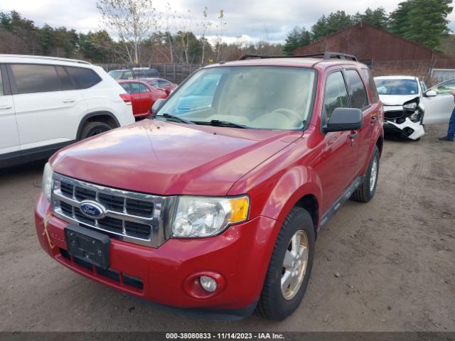 Photo 1 VIN: 1FMCU9DG0BKB56698 - FORD ESCAPE 