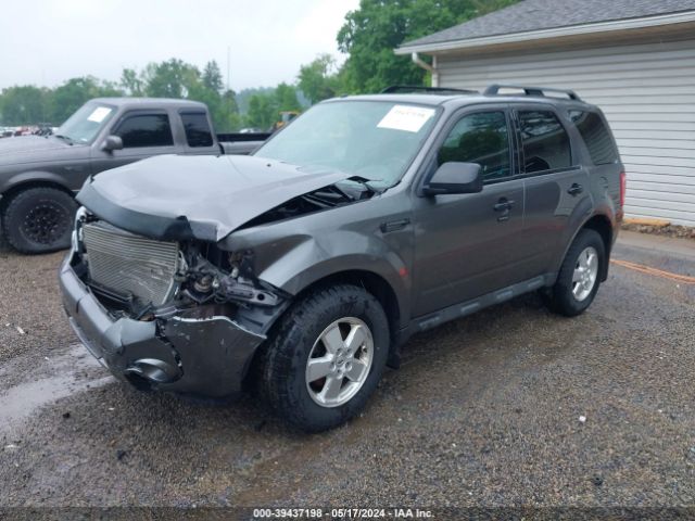 Photo 1 VIN: 1FMCU9DG0BKC03132 - FORD ESCAPE 