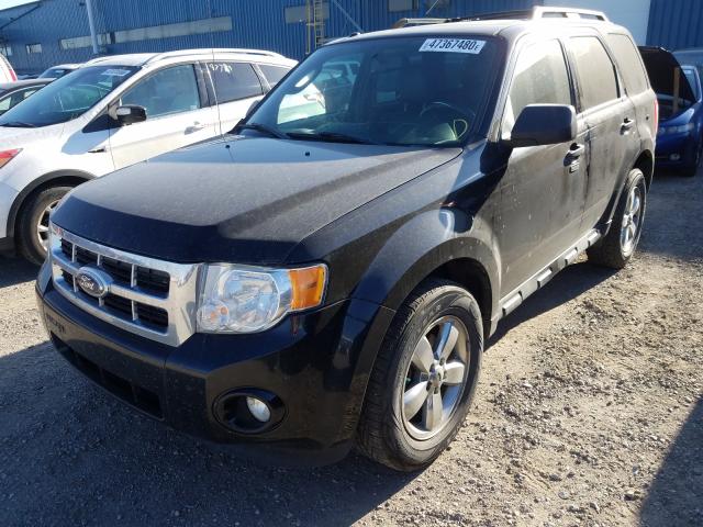 Photo 1 VIN: 1FMCU9DG2BKB49705 - FORD ESCAPE XLT 