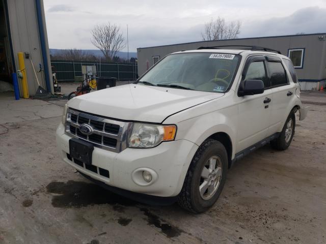 Photo 1 VIN: 1FMCU9DG3AKC50766 - FORD ESCAPE XLT 