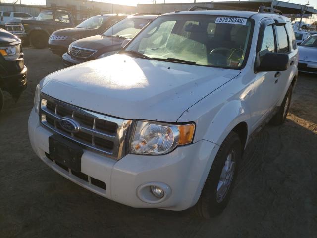 Photo 1 VIN: 1FMCU9DG3BKB86066 - FORD ESCAPE XLT 