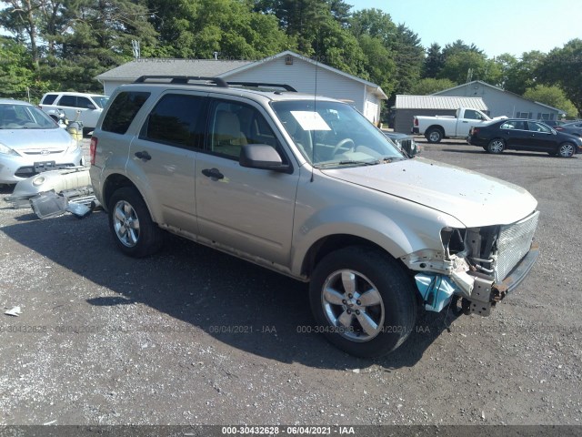 Photo 0 VIN: 1FMCU9DG5AKD09106 - FORD ESCAPE 