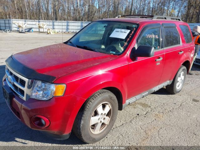 Photo 1 VIN: 1FMCU9DG6BKB55782 - FORD ESCAPE 